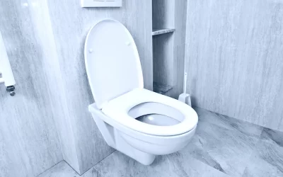 Comment déboucher un WC ?