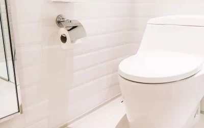 Comment remplacer une chasse d’eau ?