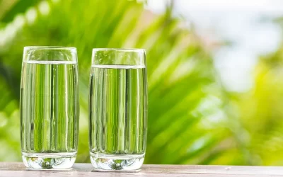 Conseils pour faire des économies d’eau